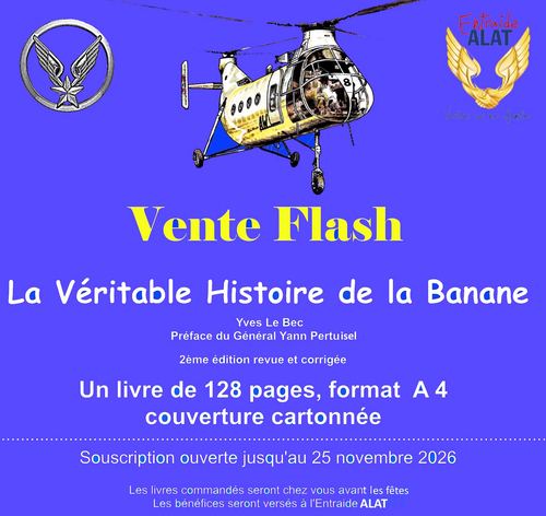 Vente banane flash